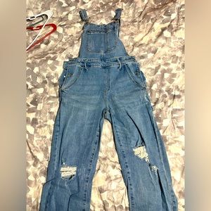 Wild fable jean overalls